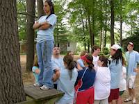Low Ropes Team Building