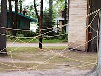 Low Ropes Team Building